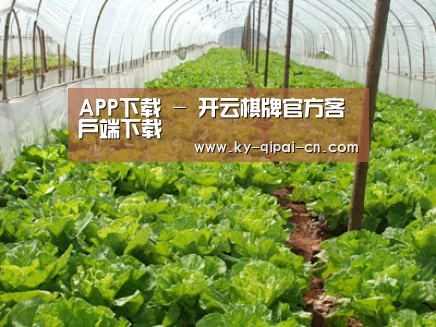 种植基地五