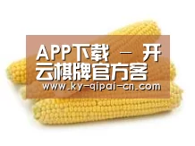 产品名称五