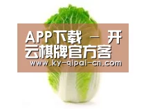 产品名称一(图1)
