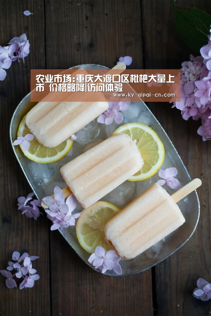 访问体验
