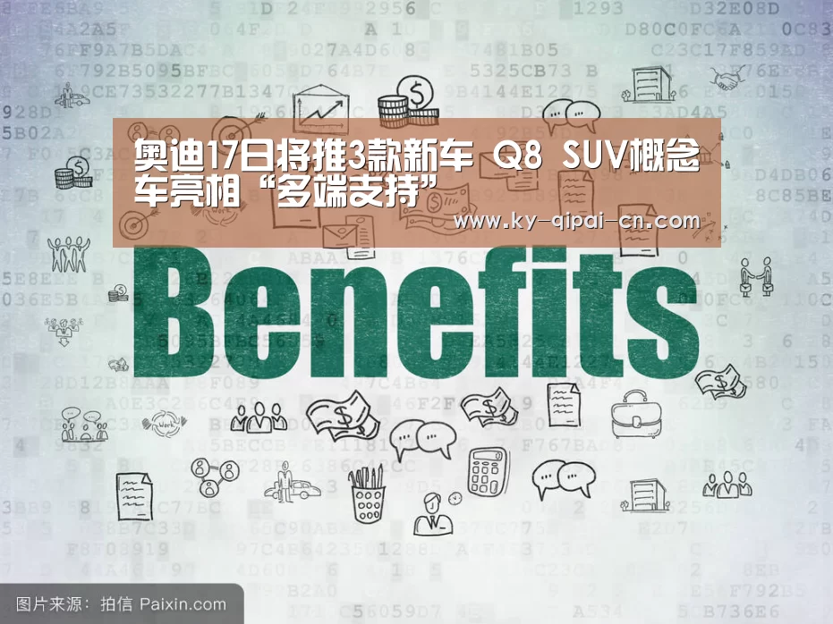 奥迪17日将推3款新车 Q8 SUV概念车亮相“多端支持”(图3) 访问体验