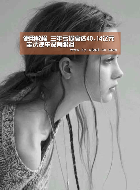使用教程_三年亏损高达40.14亿元 宝沃汽车没有眼泪(图1) 多端支持