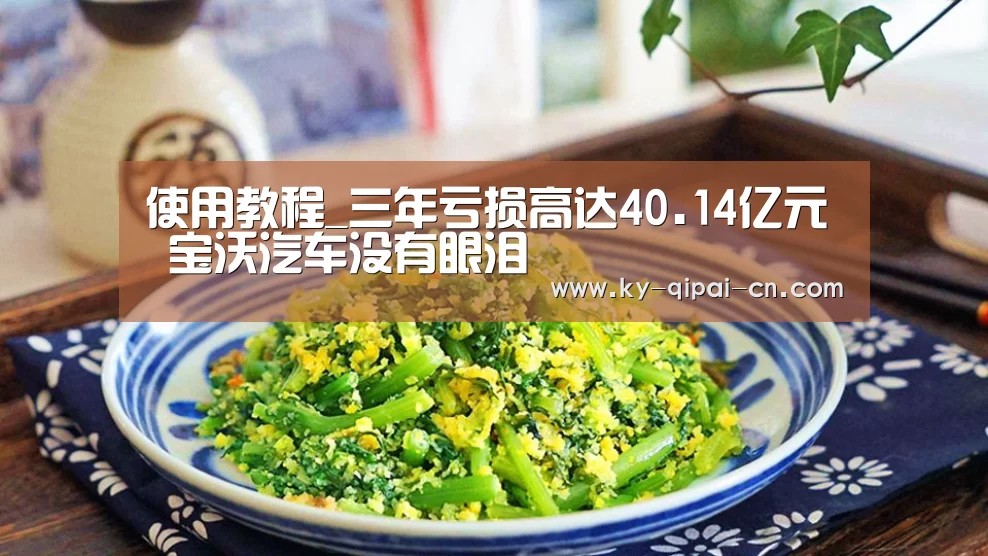 使用教程_三年亏损高达40.14亿元 宝沃汽车没有眼泪(图3) 使用教程
